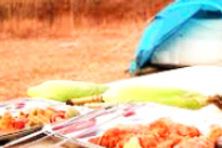 nisargshala-camping-food_edited.jpg