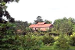 arwa-farms-front-view_edited_edited.jpg