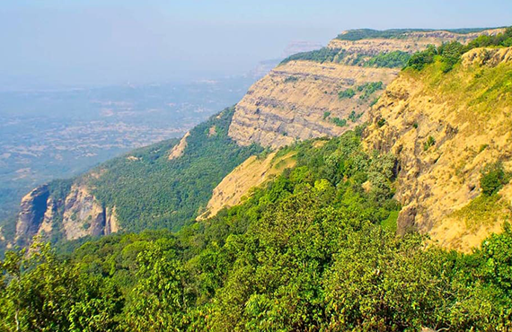 hill slope covered by trees