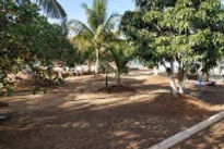samath-farm-house-murud-ample-trees-view_edited.jpg