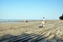 mauli-resort-kihim-beach-view_edited.jpg