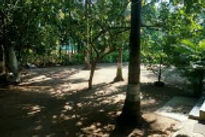 lush-green-home-stay-open-ground-_edited.jpg