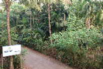 oceanic-resort-entry-road_edited.png