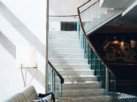 two throw pillows in couch