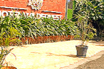 hotel-wilder-nest-front-view_edited.jpg