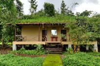 aranya-at-phansad-cottage_edited.jpg