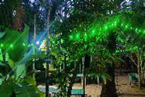 manoranjan-beach-resort-swimming-pool_edited.png