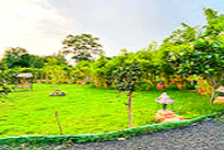 bagh-kothi-wild-life-resort-garden_edited.jpg