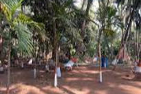 sawali-resort-open-space-view_edited.jpg