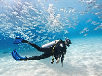 Tarkarli Scuba Resort