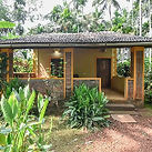 dudsagar-plantation-family-cottage_edited.jpg