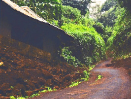 MTDC Amboli_edited.jpg