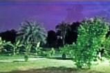 brinel-shell-beach-resort-night-view_edi