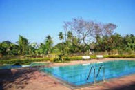 orchard-resort-swimming-pool_edited.jpg