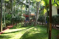 coconut-fly-holidays-garden_edited.jpg