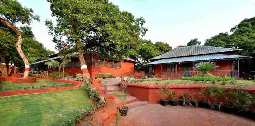 a cottage with big tree 