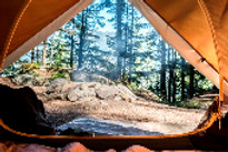 nisargshala-camping-bed-in-tent_edited.jpg