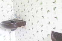 sai-aangan-wash-basin_edited.jpg