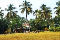 sukoon-glamping-beach_edited_edited.jpg