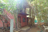 samarth-cottages-varsoli-alibag-front-view_edited.jpg