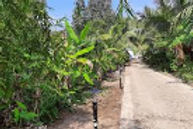 garwa-home-stay-entry-road_edited.jpg