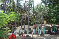 prakruti-cottages-side-view2_edited.jpg
