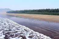 nisarg-chaya-hotel-beach_edited.jpg