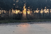 wood-land-family-nest-beach-view_edited.png
