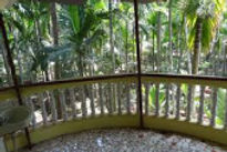 wood-land-family-nest-gallery-view_edited.jpg