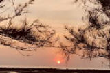 zohra-baug-evening-view_edited.jpg