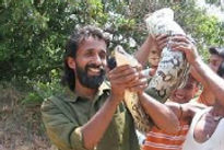 jungle-farm-wild-life_edited.jpg