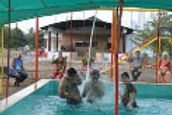 ruturaj-farm-resort-water-sports_edited.jpg