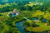 shetty-farms-top-view_edited.jpg