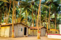 palm-beach-paradise-cottage-view_edited.jpg