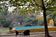 cob-5-resort-swimming-pool_edited.jpg