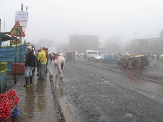 a road covered by fog