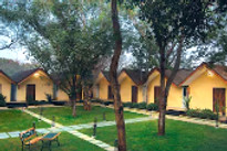 v-resorts-aranya-kashid-cottages-front-view_edited.jpg