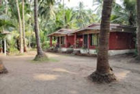 hotel-arabian-sea-cottages_edited.jpg