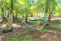 alibagkar-cottages-outdoor_edited.jpg