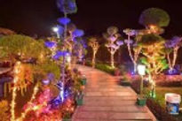 ranes-resort-entry-road_edited.jpg