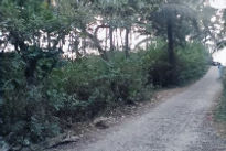 classic-anand-bungalow-beach-enterance_edited.jpg