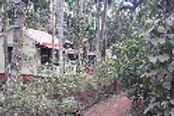 ambiance-cottage-diveagar-resorts-entrance_edited.jpg