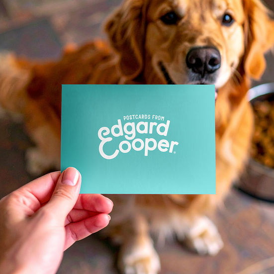 Postcards from Edgard & Cooper