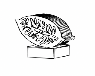 Screen Shot 2022-04-07 at 6.10.26 PM.png