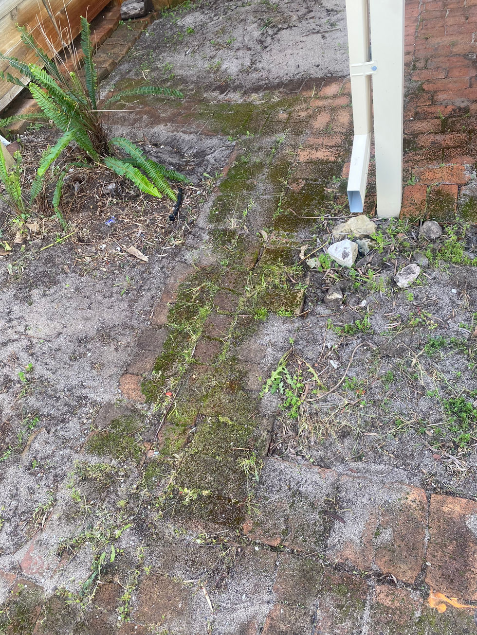 Before Butane Weed Removal