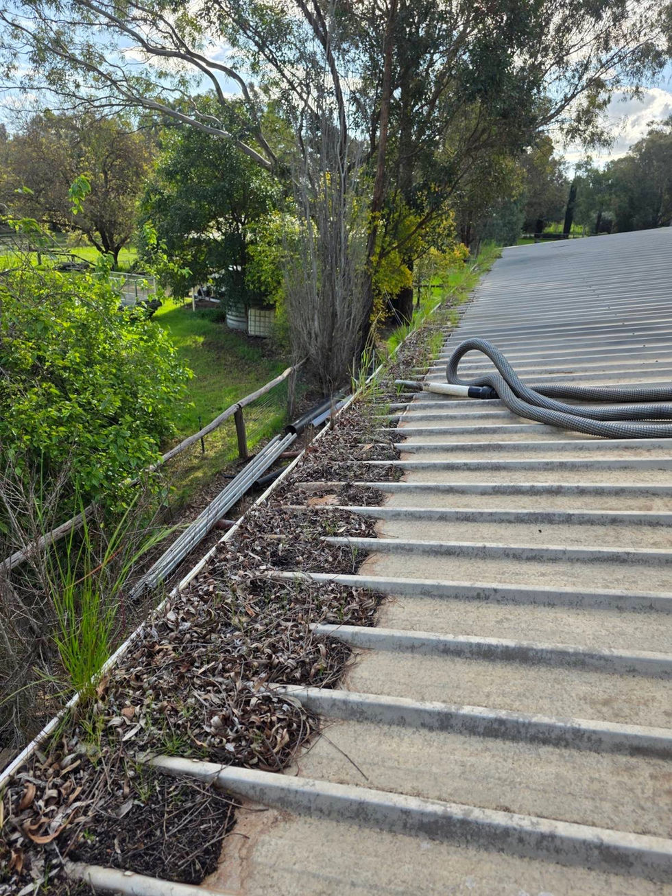 Before Gutter Cleaning