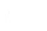 Netwerk in nier.png
