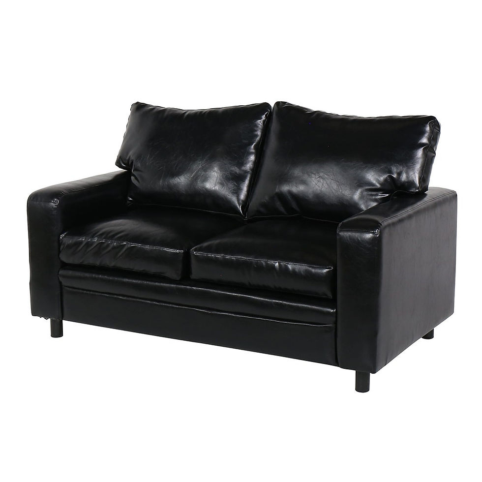 ภาพขนาดย่อ: โซฟา 2 ที่นั่ง รุ่น Remi สีดำ