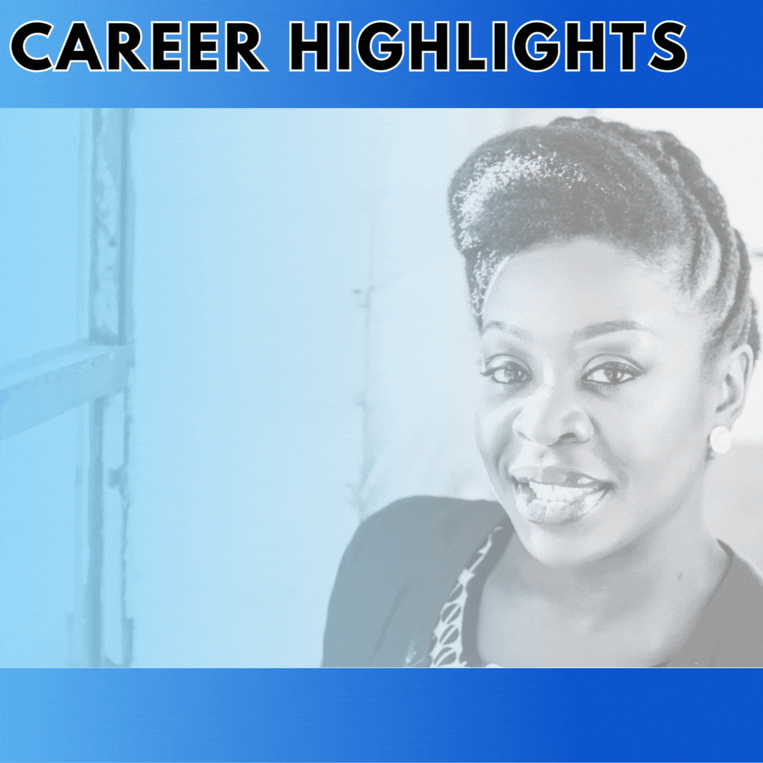 Box that shares career highlights of candidate