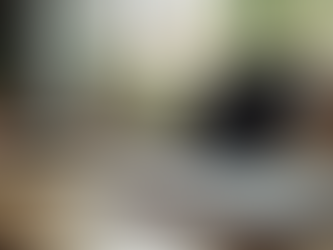 Custom Graphic Design Services Online